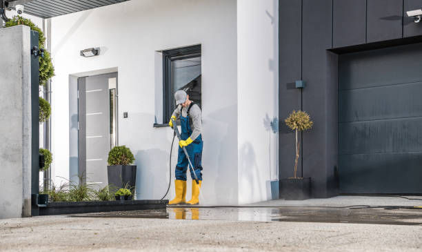 Best Graffiti Removal  in Plummer, ID